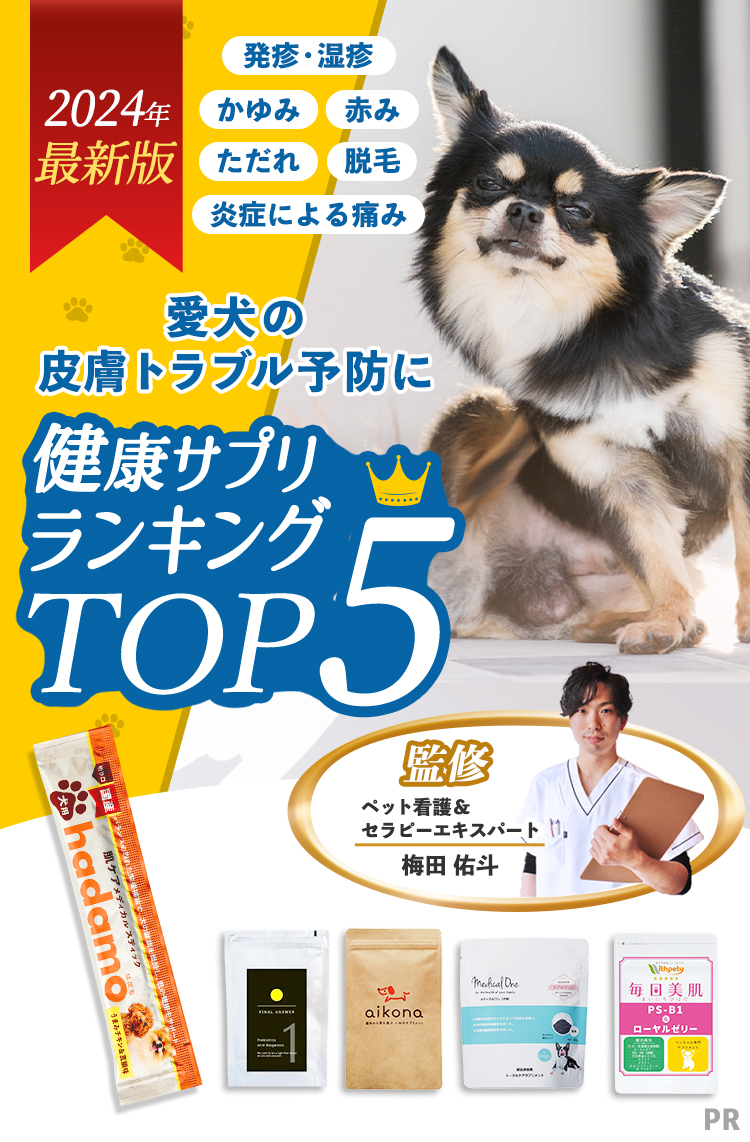 痒み・湿疹、肌荒れ、皮膚炎。愛犬の皮膚トラブル予防に。健康サプリランキングTOP5