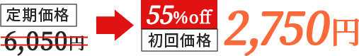 定期価格6,050円→初回価格55%offで2,750円