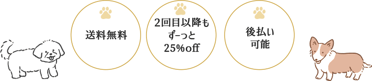 送料無料、２回目以降もずっと25%pff、後払い可能