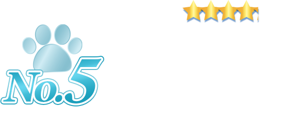 FINAL ANSWER