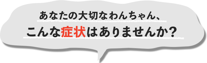 あなたの大切なわんちゃん、こんな症状はありませんか？