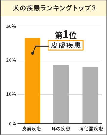 犬の疾患ランキングトップ３のグラフ