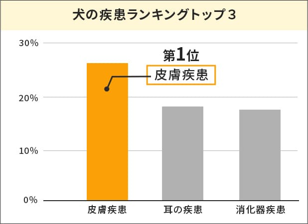 犬の疾患ランキングトップ３のグラフ