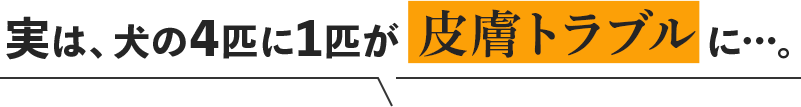実は、犬の４匹に１匹が皮膚トラブルに