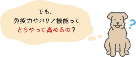 でも、免疫力やバリア機能ってどうやって高めるの？