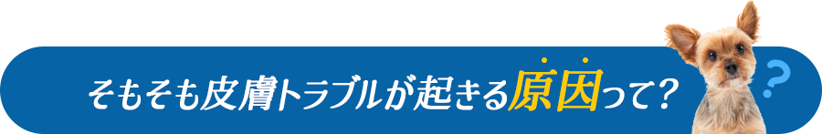 そもそも皮膚トラブルが起きる原因って？