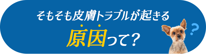 そもそも皮膚トラブルが起きる原因って？